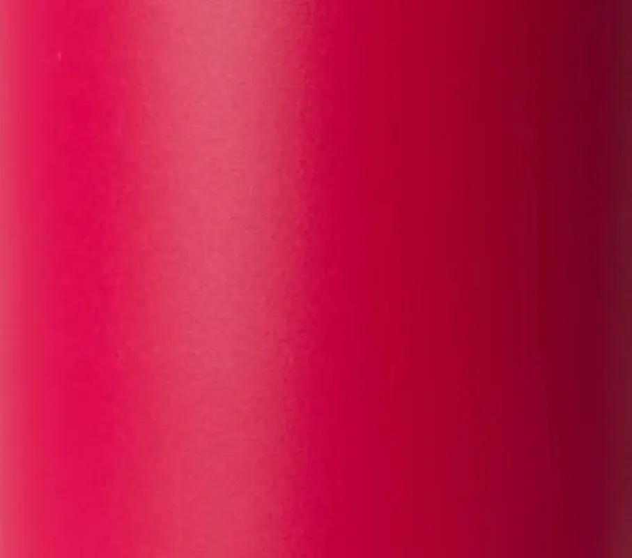 Simple Modern 30 fl oz Insulated Stainless Steel Trek Tumbler with Straw Lid | Holly Berry